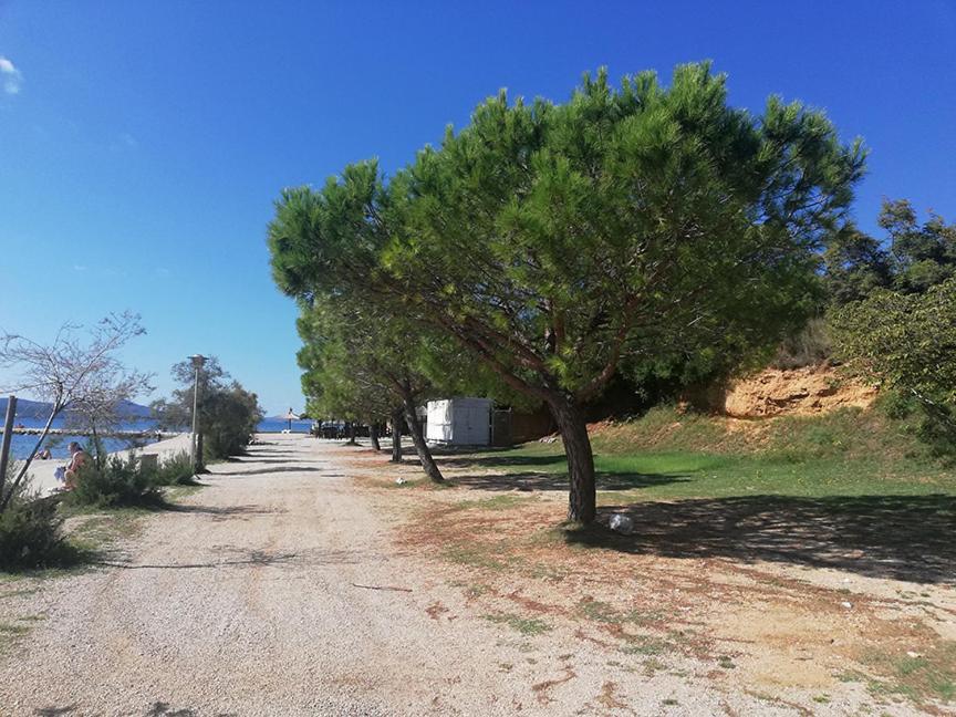 Danyja Apartments Sveti Filip i Jakov Bagian luar foto